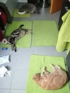 IMG_20211228_083337.jpg IMG_20211228_083337.jpg