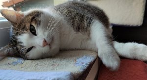 IMG_20211227_103853 (2).jpg