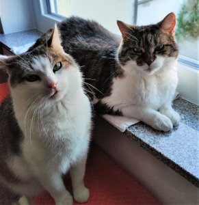 IMG_20220212_100255__01 (2).jpg