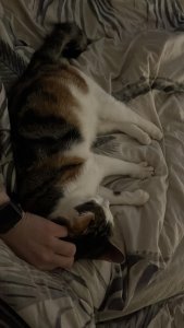 Pauliensche2 13.02..jpg