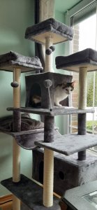 Paulas erste Bilder1.jpg