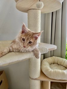 WhatsApp Image 2022-02-19 at 18.36.09.jpeg