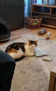 Paula schlummert.jpg