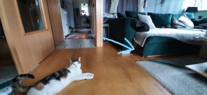 InkedPaula im WZ_LI.jpg