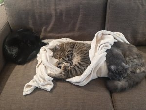 20220301_170449.jpg 20220301_170449.jpg