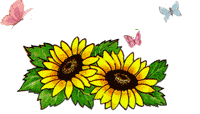 Sonnenblumen.gif