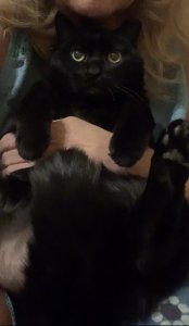 803BD6EA-66CC-4836-BD79-9591DA54CD93.jpeg 803BD6EA-66CC-4836-BD79-9591DA54CD93.jpeg