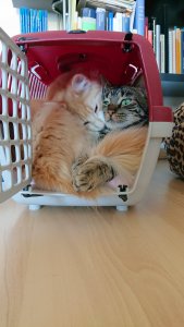 DSC_5825.JPG DSC_5825.JPG