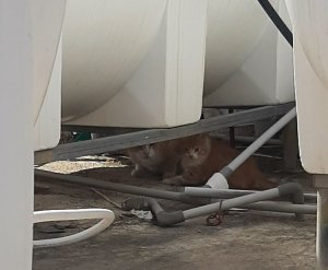 20220419_103912.jpg 20220419_103912.jpg