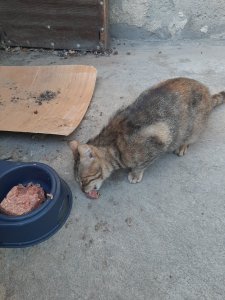 20220421_175423.jpg 20220421_175423.jpg