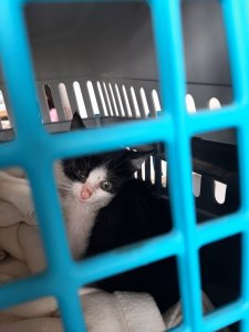 20220429_172311.jpg 20220429_172311.jpg