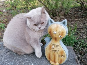 IMG-20220420-WA0027 1.jpg