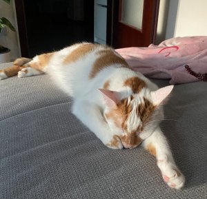 WhatsApp Image 2022-05-12 at 16.08.26.jpeg