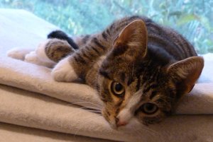 bin ich nicht süß.jpg