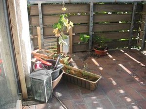 August u. September 2011 010.jpg