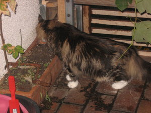 August u. September 2011 031.JPG