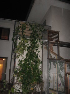 August u. September 2011 021.JPG