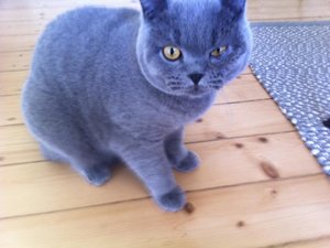 Horst und Herta 281.jpg