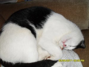 Mütze 009 [800x600].jpg