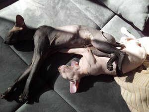 2011-10-03 15.54.36.jpg