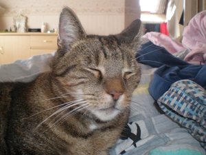 Sicherheitstag 2009 129.jpg