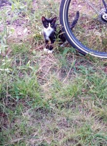 IMG_20190801_203133 (2).jpg