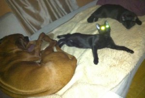 IMG_1313 geändert.jpg