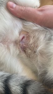 WhatsApp Image 2022-06-14 at 14.46.17 (1).jpeg WhatsApp Image 2022-06-14 at 14.46.17 (1).jpeg