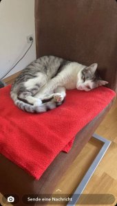 WhatsApp Image 2022-06-13 at 21.25.27.jpeg WhatsApp Image 2022-06-13 at 21.25.27.jpeg