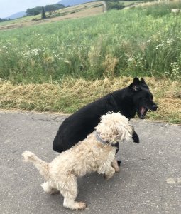 F72CB4FF-6FAD-4A07-9364-D5CCA9A7DF20.jpeg F72CB4FF-6FAD-4A07-9364-D5CCA9A7DF20.jpeg