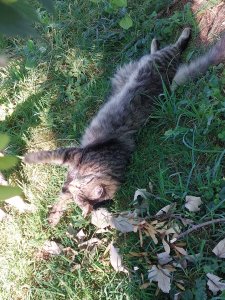 20220702_190155.jpg 20220702_190155.jpg