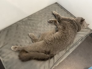 E48BEC75-991C-480D-8BF7-6476ED950CC7.jpeg E48BEC75-991C-480D-8BF7-6476ED950CC7.jpeg