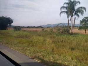 IMG_20220705_101355418_BURST001.jpg IMG_20220705_101355418_BURST001.jpg