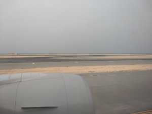 IMG_20220706_110150399.jpg IMG_20220706_110150399.jpg