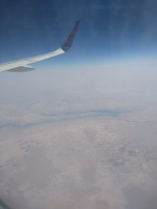 IMG_20220707_042110717.jpg IMG_20220707_042110717.jpg