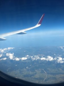 IMG_20220707_055615437.jpg IMG_20220707_055615437.jpg