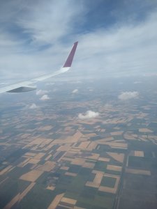 IMG_20220707_073146852.jpg IMG_20220707_073146852.jpg