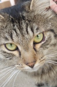 20220709_202357.jpg 20220709_202357.jpg