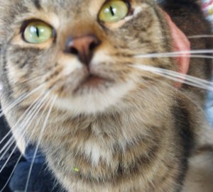 20220709_202753.jpg 20220709_202753.jpg