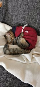 IMG_20220713_152619.jpg IMG_20220713_152619.jpg