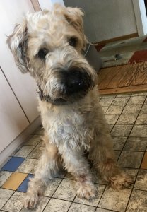 A03B318E-AB39-4CBD-B995-111380A6DA9E.jpeg A03B318E-AB39-4CBD-B995-111380A6DA9E.jpeg