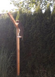 Screenshot_20220717-192530_Video Player.jpg