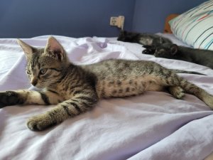 20220724_131710.jpg 20220724_131710.jpg