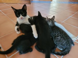 20220724_101755.jpg 20220724_101755.jpg