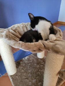 20220724_101226.jpg 20220724_101226.jpg