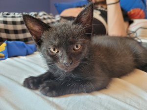 20220723_154147.jpg 20220723_154147.jpg