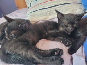 20220724_171433.jpg 20220724_171433.jpg