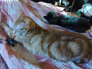 20220903_164537.jpg 20220903_164537.jpg