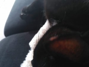 IMG_20220906_183015.jpg IMG_20220906_183015.jpg