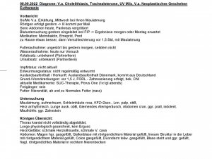 Bericht_Julia_Pedersen_08.09.2022-page-001.jpg